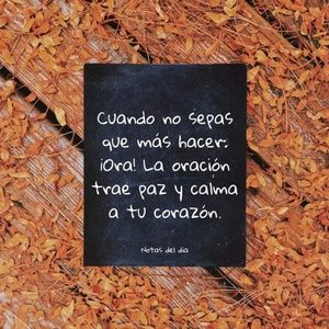 Meet your Posher, Isis